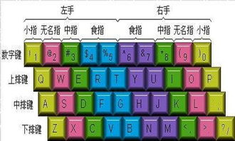 鍵盤(pán)打字指法指南 每根手指的正確分工